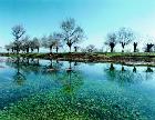 Along the Litani river in South Lebanon